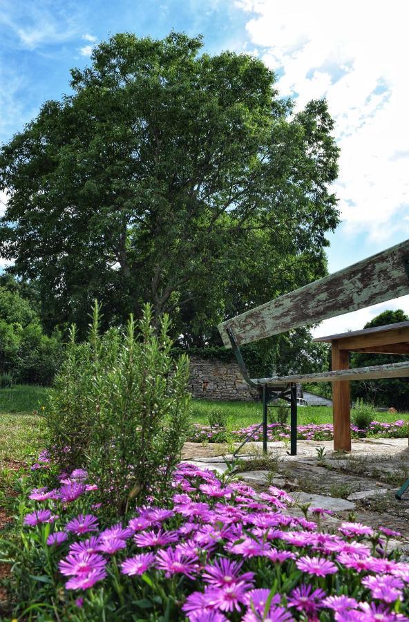 Cottage Al Merlo Olivo Buje Exterior foto