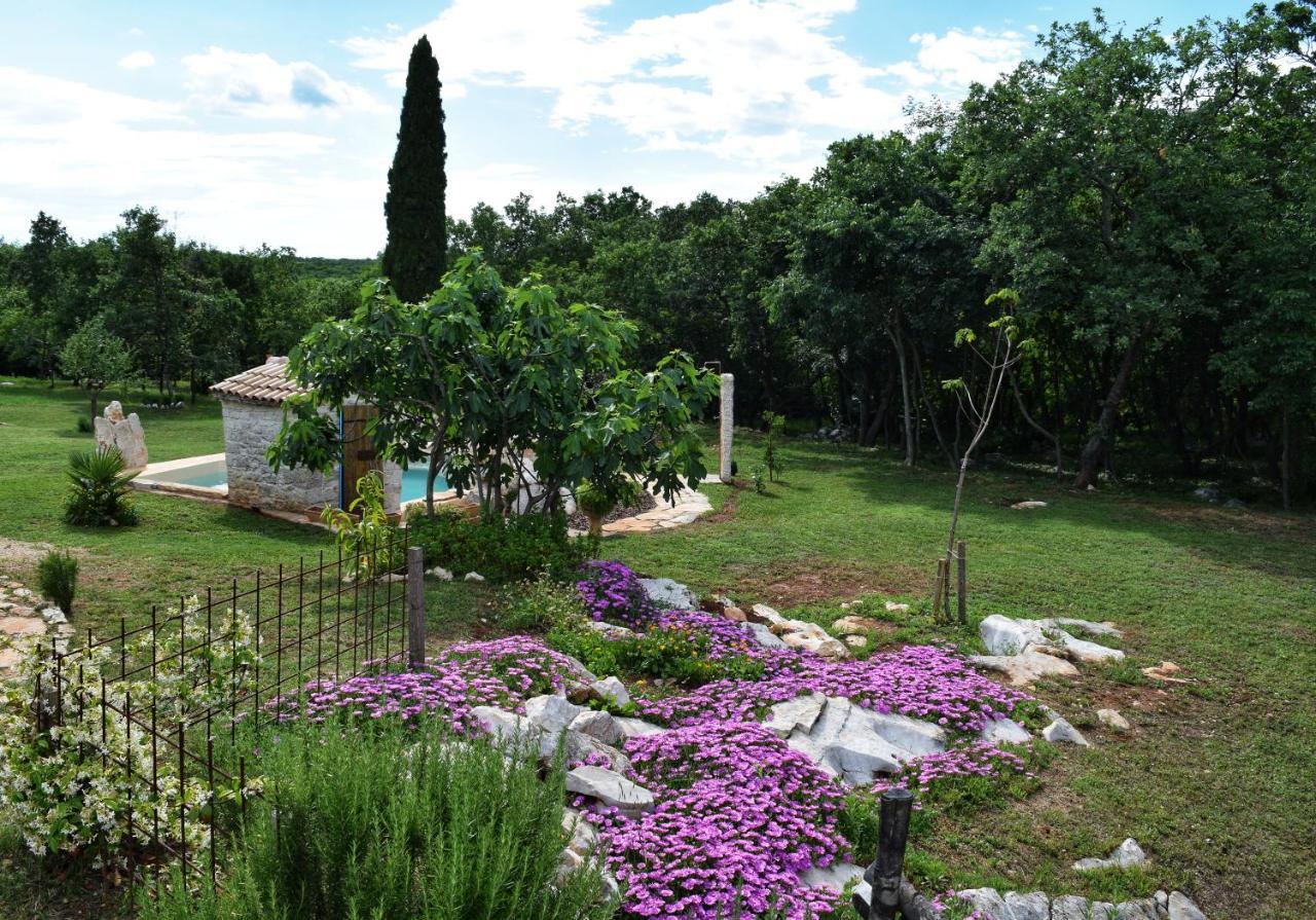 Cottage Al Merlo Olivo Buje Exterior foto