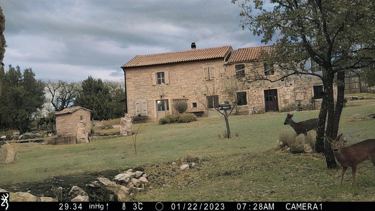 Cottage Al Merlo Olivo Buje Exterior foto